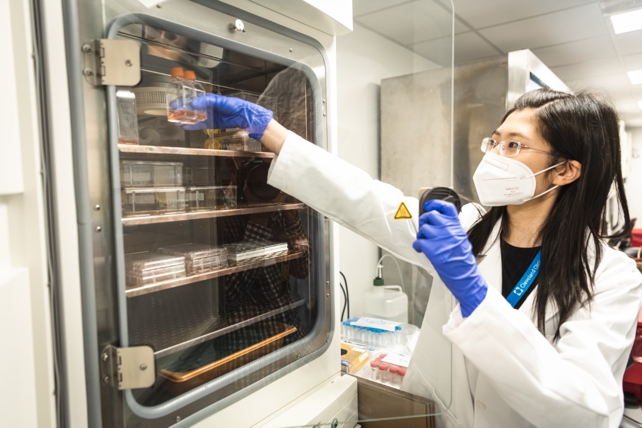 Research Immunotherapy & Precision Immuno-Oncology | Lerner Research ...