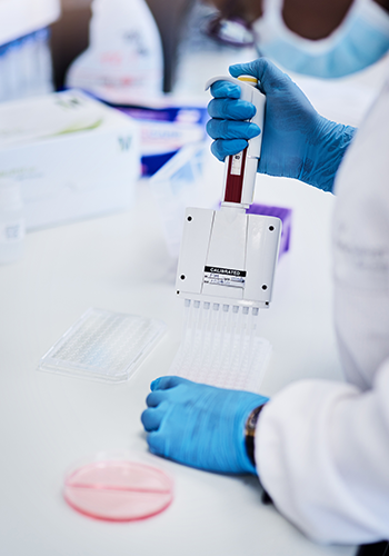 Close-up of hands in blue medical gloves working with lab equipment.