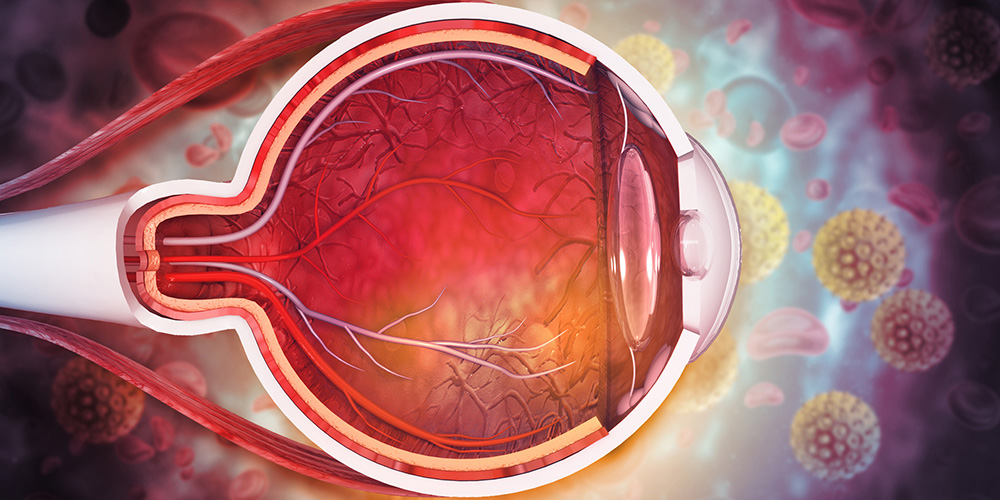 Ophthalmic Research | Lerner Research Institute